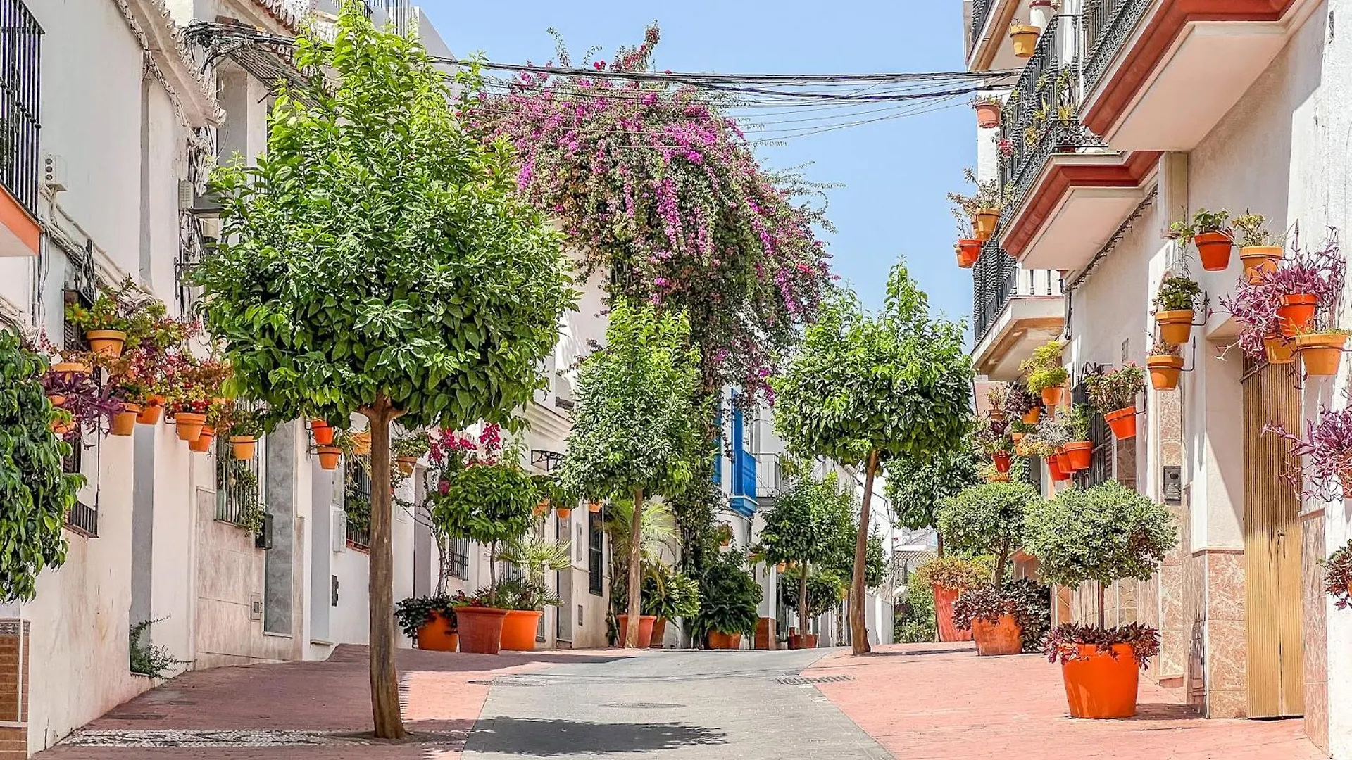 Hanami Casa Antero Estepona